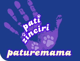 Paturemama Patizinciri